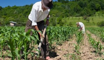 Jader apresenta proposta fara financiar recuperação de solo na agricultura familiar