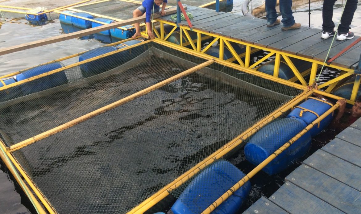 Senador Jader quer incentivar projeto de aquicultura na UFOPA