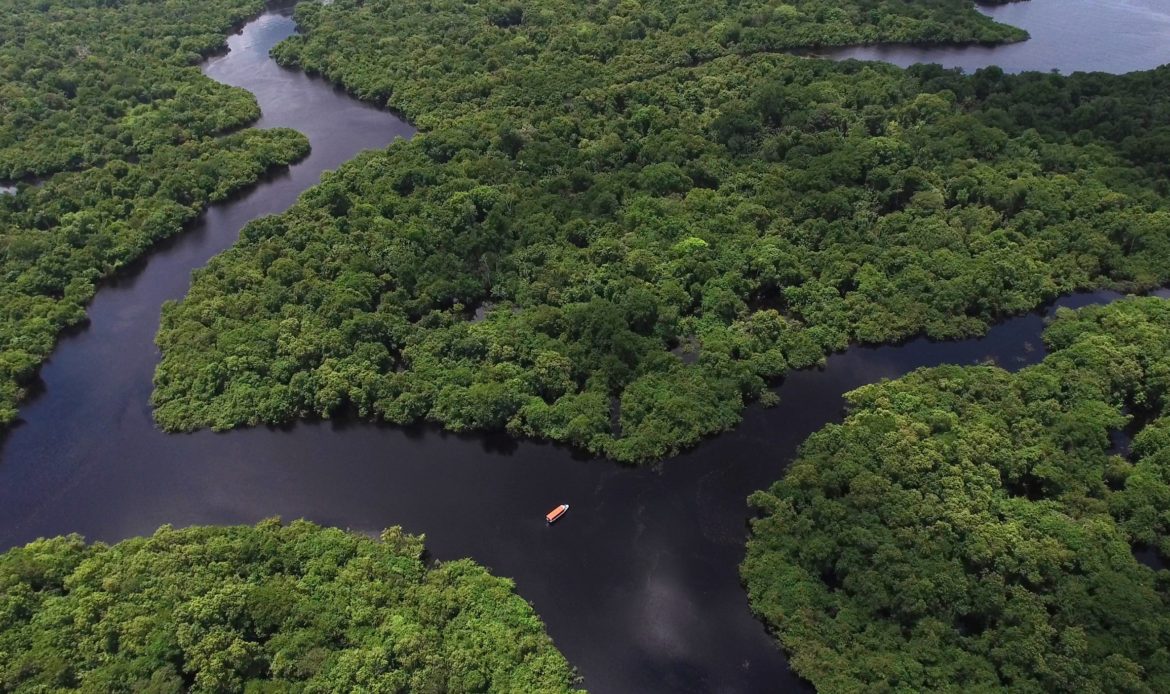 Senador alerta sobre riscos para o país caso ministro altere normas do Fundo Amazônia