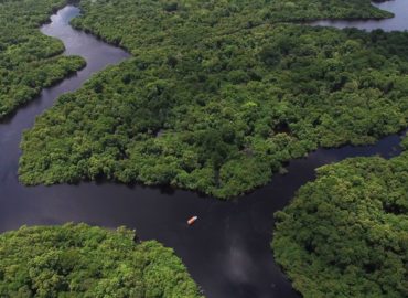 Senador alerta sobre riscos para o país caso ministro altere normas do Fundo Amazônia