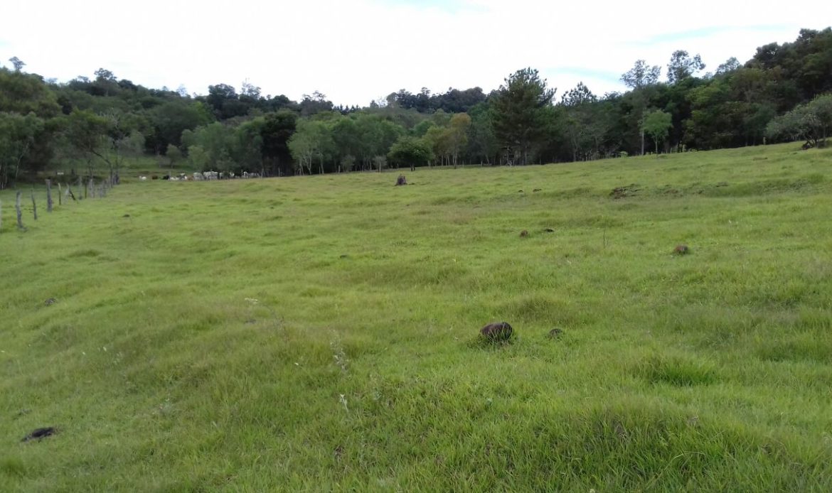 Projeto proposto por Jader Barbalho incluiu imóvel rural em aquisição pelo FGTS