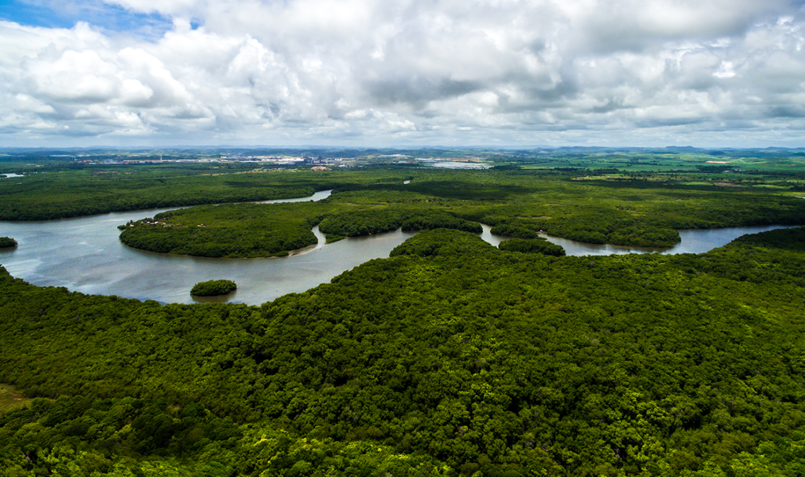 “Brasil não pode abdicar do Fundo Amazônia” defende senador Jader