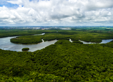 “Brasil não pode abdicar do Fundo Amazônia” defende senador Jader