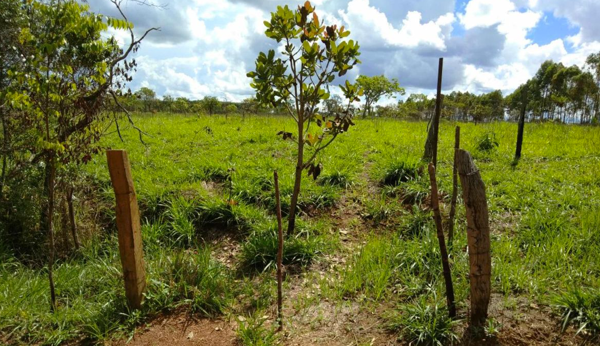 Jader Barbalho pede ampliação de propostas de regularização fundiária no Pará
