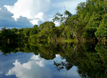 Senador Jader cobra ação do governo federal contra desmatamento na Amazônia
