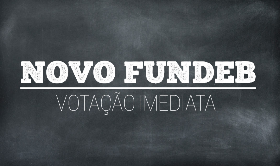 Senador Jader defende votação imediata do novo Fundeb