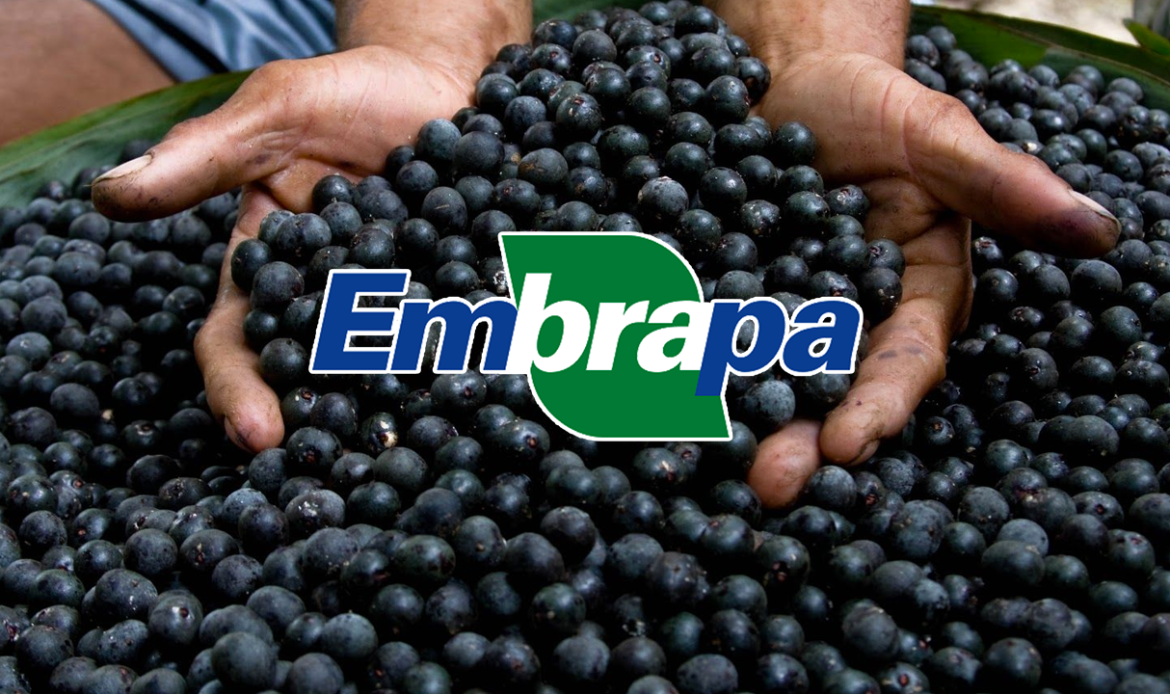“É urgente manter recursos para a Embrapa” alerta o senador Jader