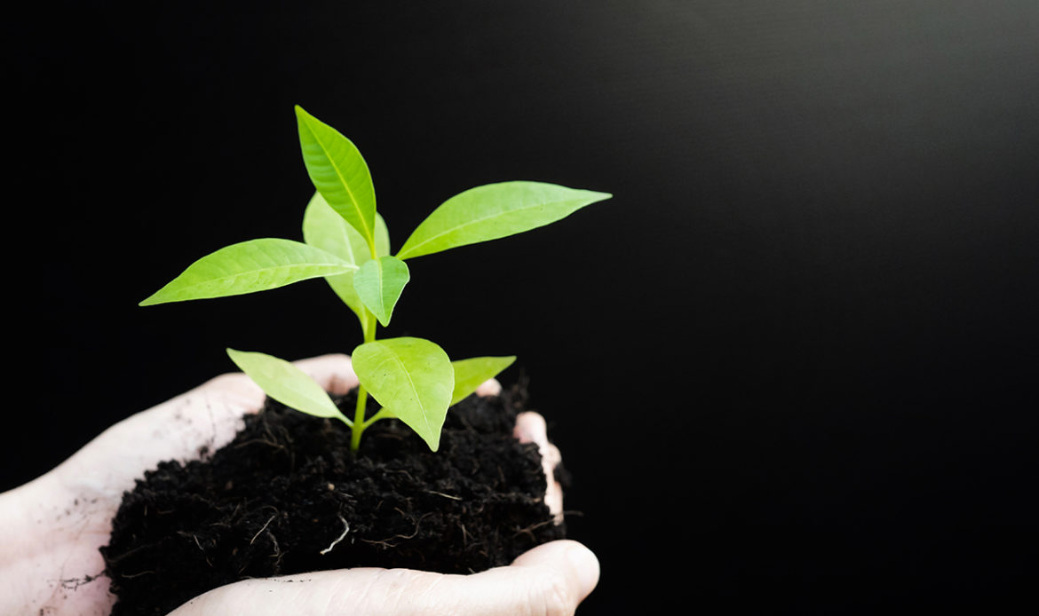 Jader comemora projeto que diminui impactos no meio ambiente