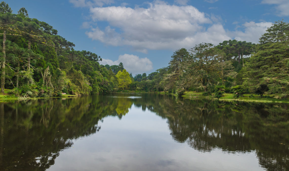 Jader pede criação de zoneamento ecológico