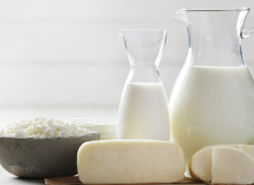 Reforma tributária – Emendas de Jader apoiam setores lácteo e serviços