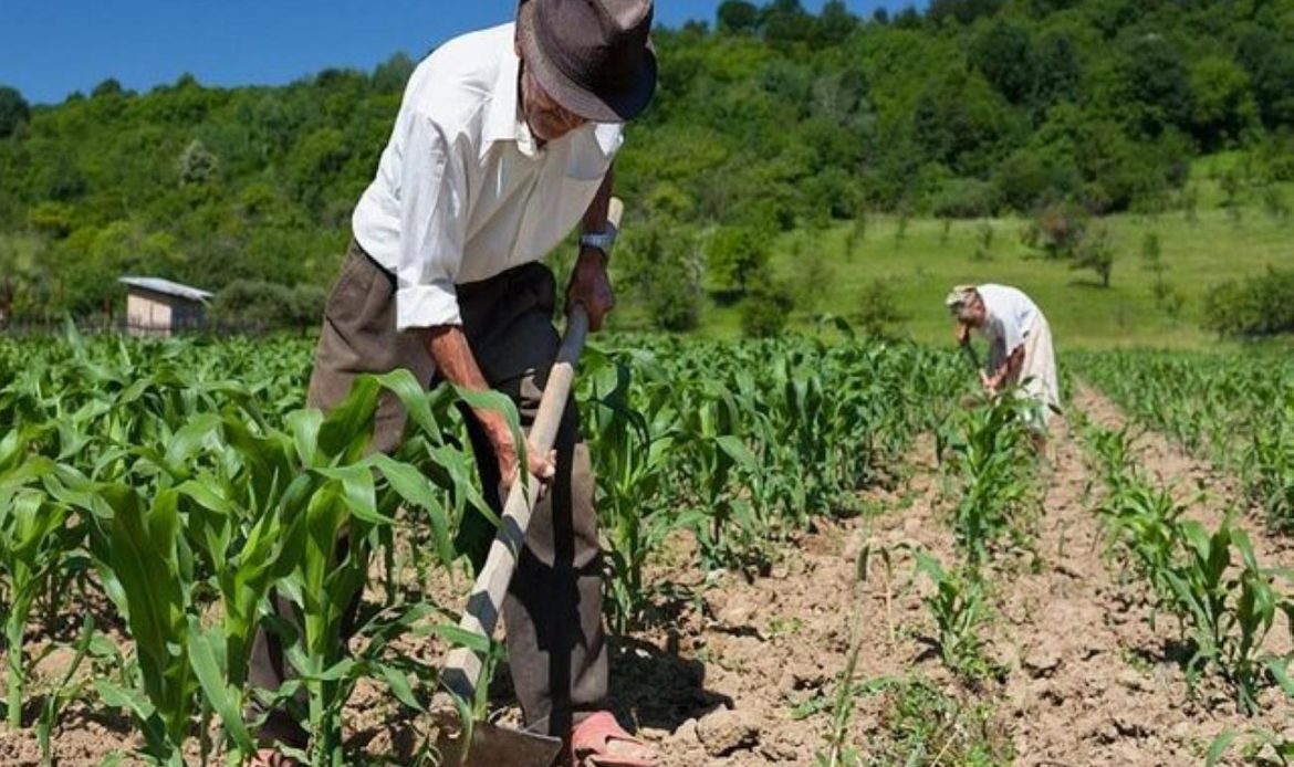 Jader apresenta proposta fara financiar recuperação de solo na agricultura familiar