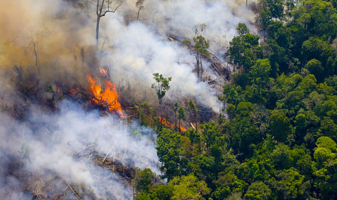 Jader pede apuração (PFC) sobre recursos do Fundo Amazônia