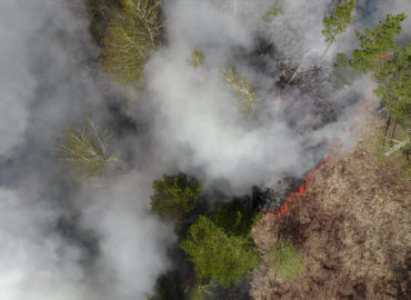 Aumento de queimadas na Amazônia preocupa senador Jader