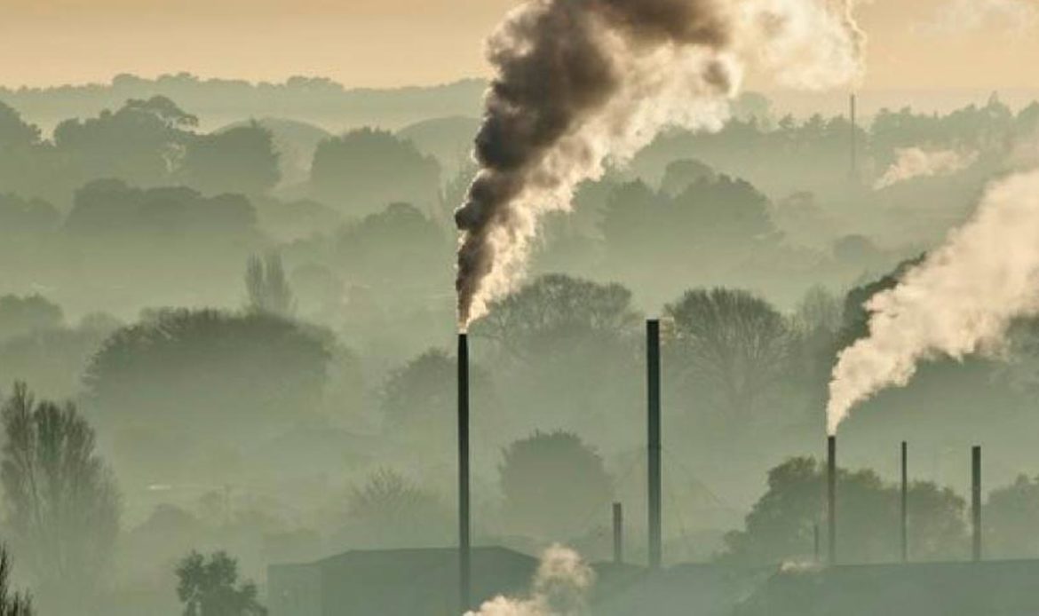 COP 27 – Senador Jader pede urgência em votação de PL que regula mercado de carbono