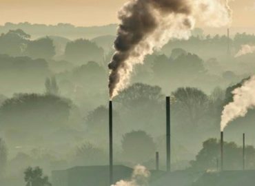 COP 27 – Senador Jader pede urgência em votação de PL que regula mercado de carbono