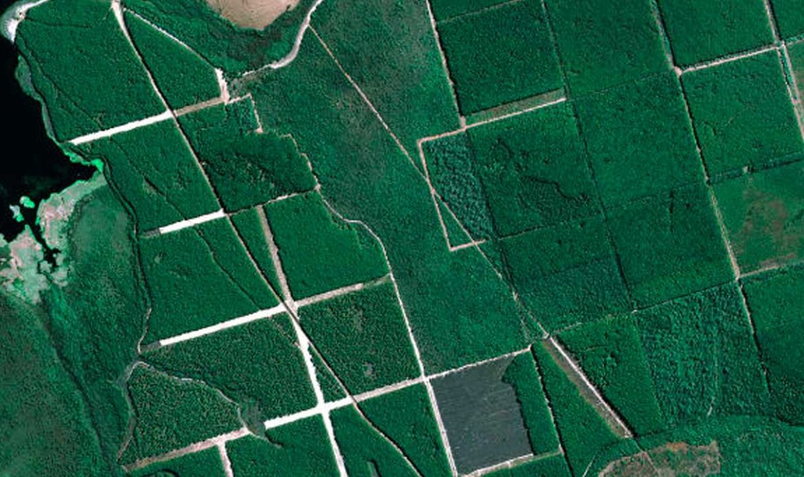 Senador Jader defende urgência para implantar zoneamentos ecológicos