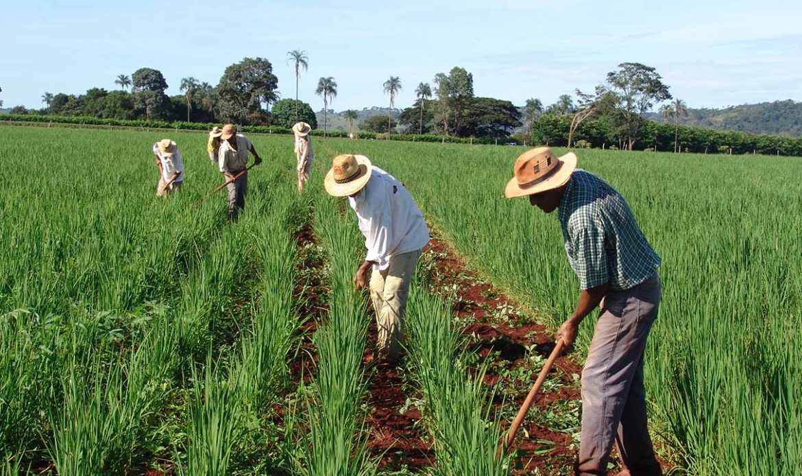 Linha de crédito para agricultor familiar tem parecer favorável na CRA do Senado