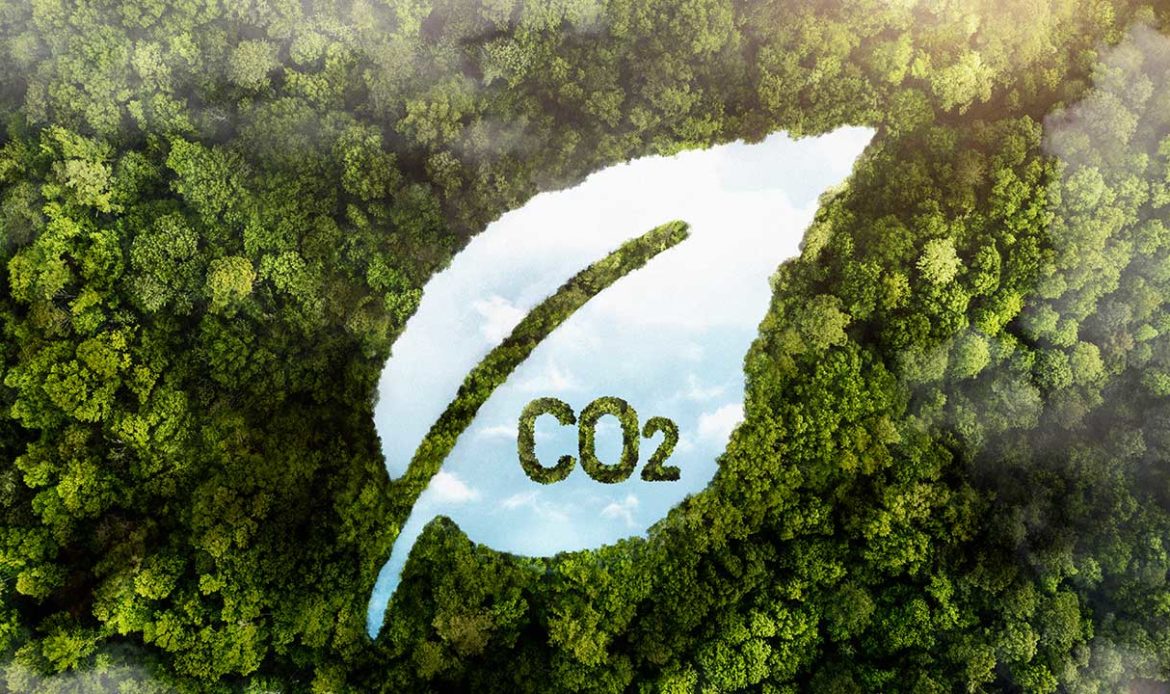 Jader defende urgência na regulamentação do mercado de carbono