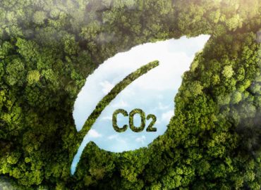 Jader defende urgência na regulamentação do mercado de carbono
