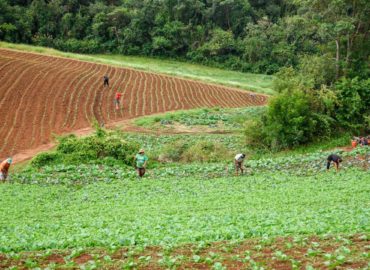 Projeto de Jader defende agricultores familiares em cadeias produtivas de biocombustível