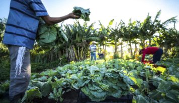 Jader sugere criação de Observatório Nacional da Agricultura Familiar.