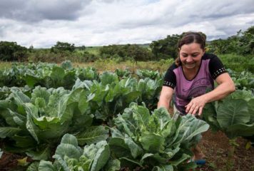 Agricultura familiar: projeto prioriza mulher em linhas de crédito