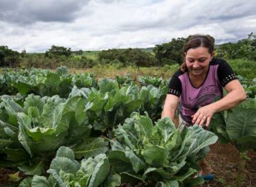 Agricultura familiar: projeto prioriza mulher em linhas de crédito