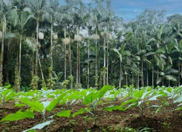 Jader apresenta projeto de incentivo à agricultura regenerativa