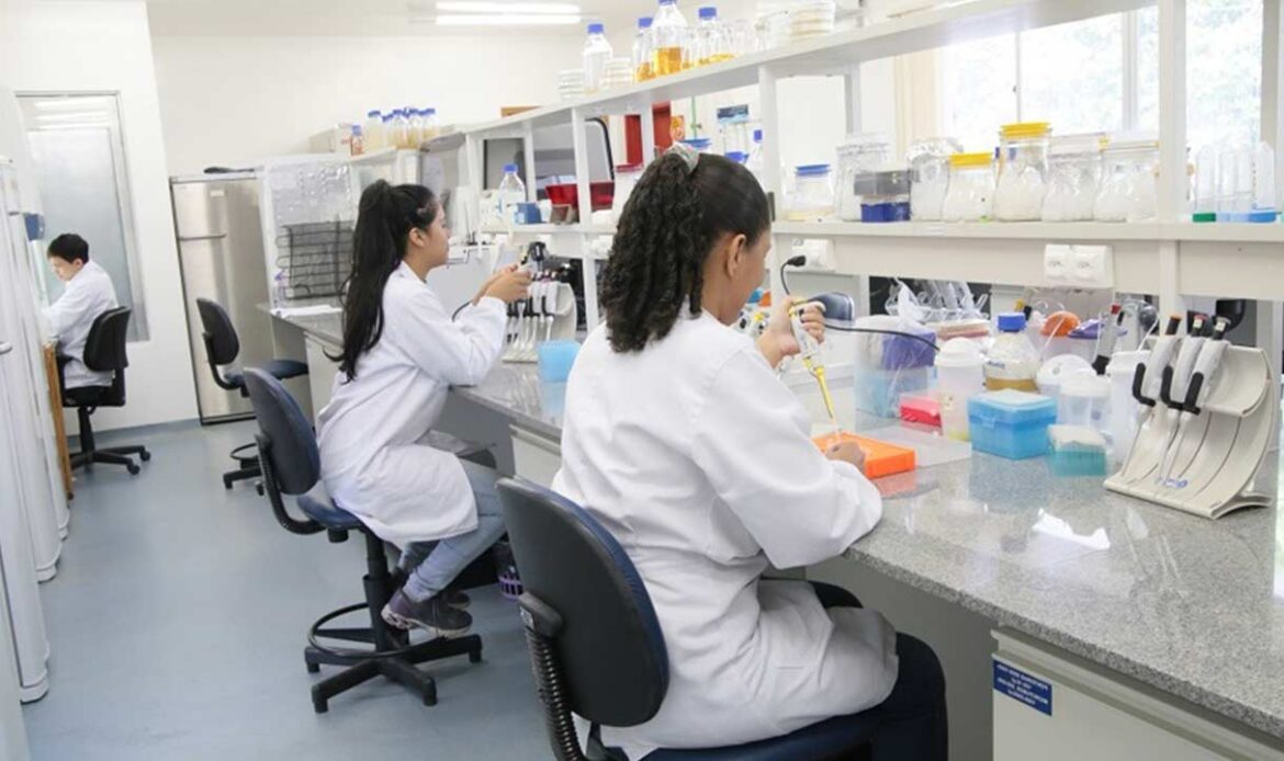 Projeto de Jader Barbalho evita cortes em bolsas estudantis