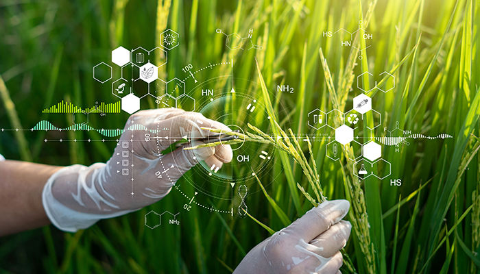 Projeto de Jader cria novo marco para a biotecnologia da Amazônia